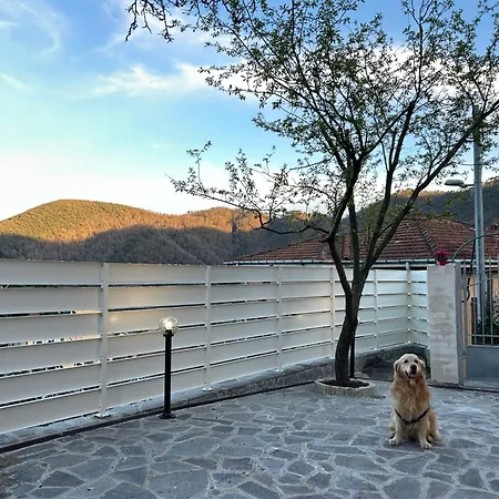 El Fossadeu-biassa-cinque Terre Biassa