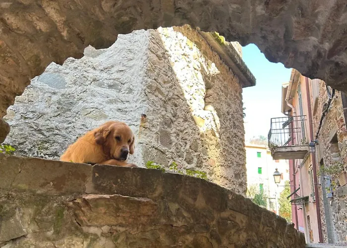 Appartamento El Fossadeu-biassa-cinque Terre