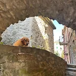 Διαμέρισμα El Fossadeu-biassa-cinque Terre