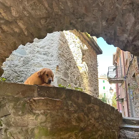 Daire El Fossadeu-biassa-cinque Terre
